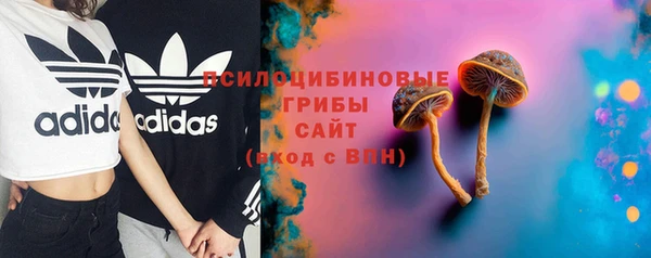 соль ск Бугульма