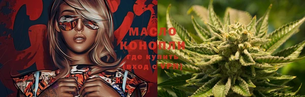 дмт Магас