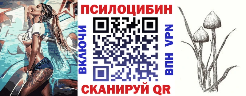 Галлюциногенные грибы MAGIC MUSHROOMS  Купить где  Пересвет 